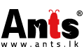  Ants Creation – Web Design company