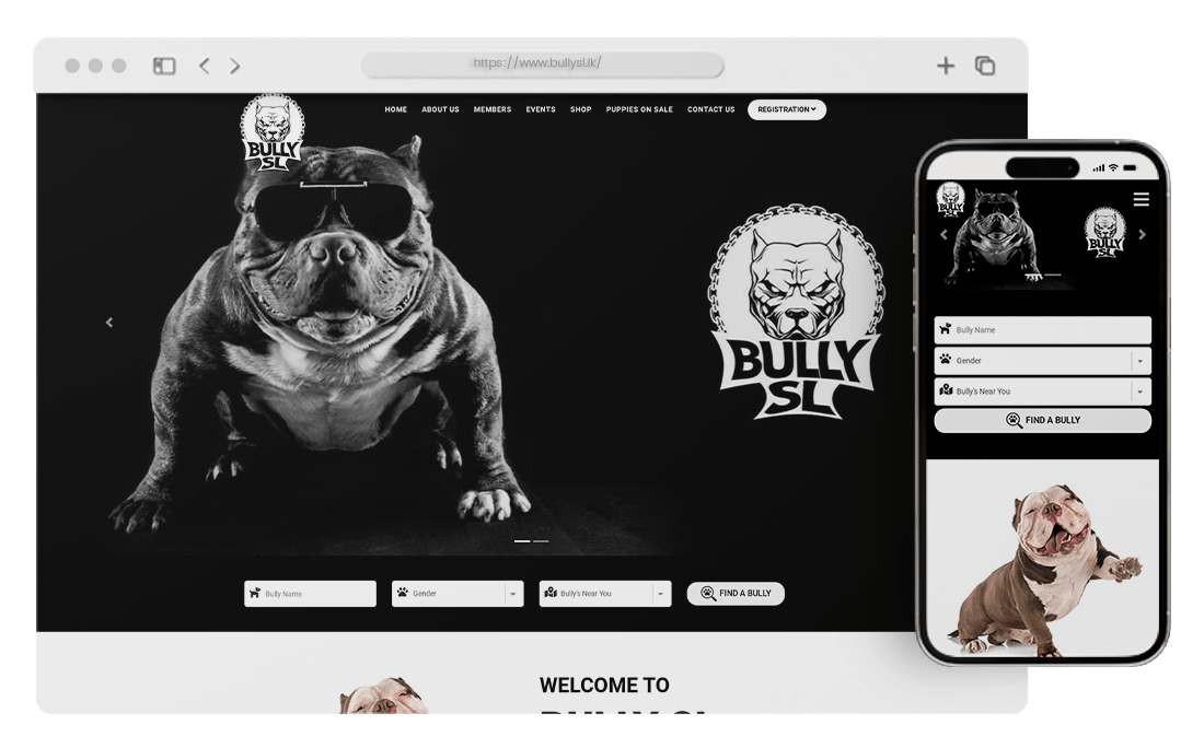 Bully SL | Web Design Sri Lanka